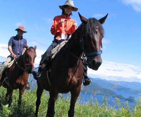 自然を体感する